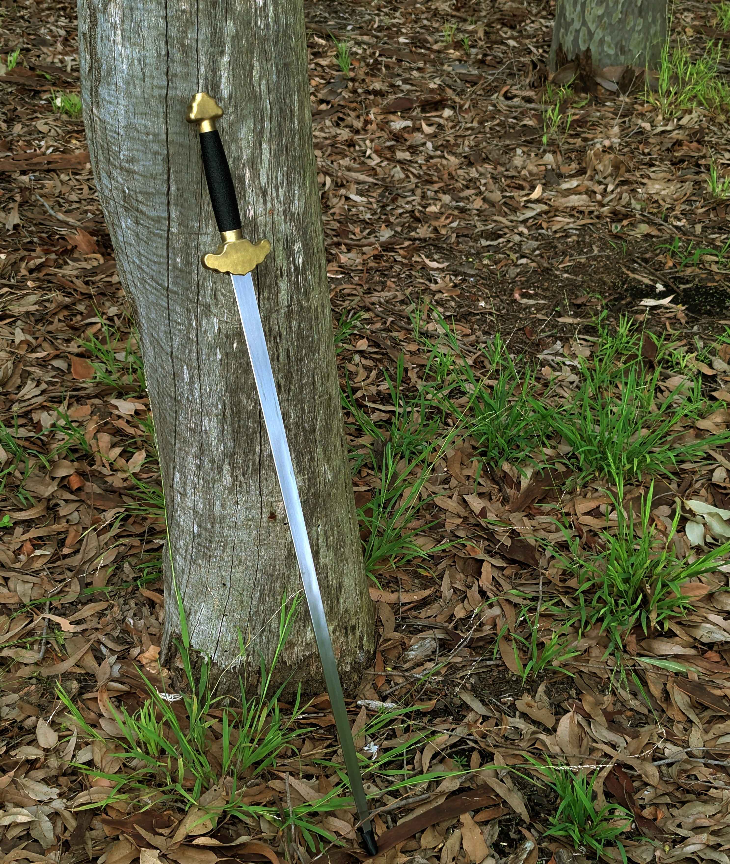 Castille Armory Sparring Jian against a tree